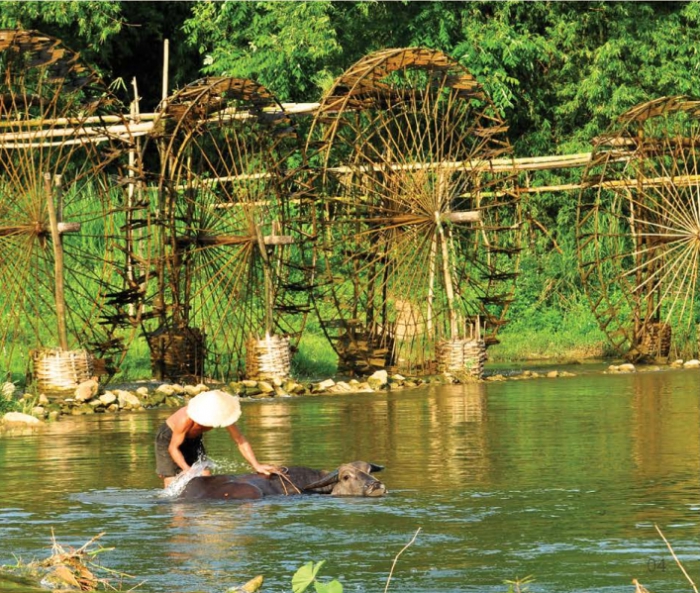 Kich chuot de phong to anh